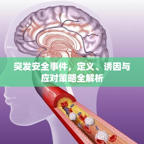 突發(fā)安全事件，定義、誘因與應(yīng)對(duì)策略全解析