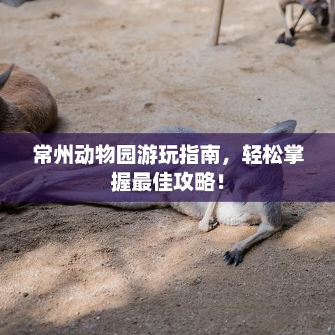 常州動(dòng)物園游玩指南，輕松掌握最佳攻略！