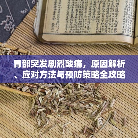胃部突發(fā)劇烈酸痛，原因解析、應(yīng)對方法與預(yù)防策略全攻略