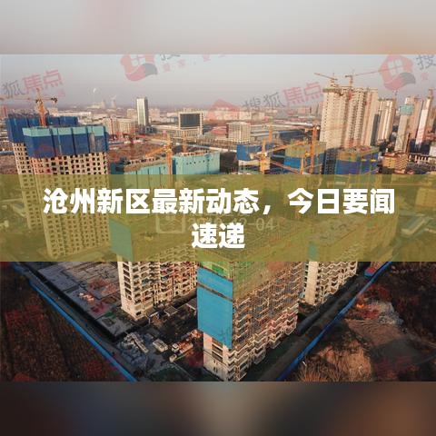 滄州新區(qū)最新動(dòng)態(tài)，今日要聞速遞
