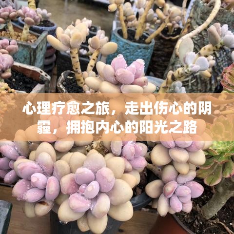 心理療愈之旅，走出傷心的陰霾，擁抱內(nèi)心的陽光之路