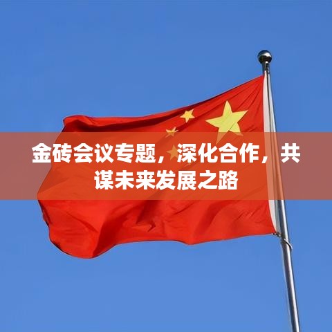 金磚會議專題，深化合作，共謀未來發(fā)展之路
