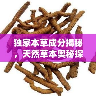 獨(dú)家本草成分揭秘，天然草本奧秘探尋