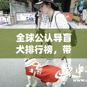 全球公認(rèn)導(dǎo)盲犬排行榜，帶你了解最信賴的盲犬品種！