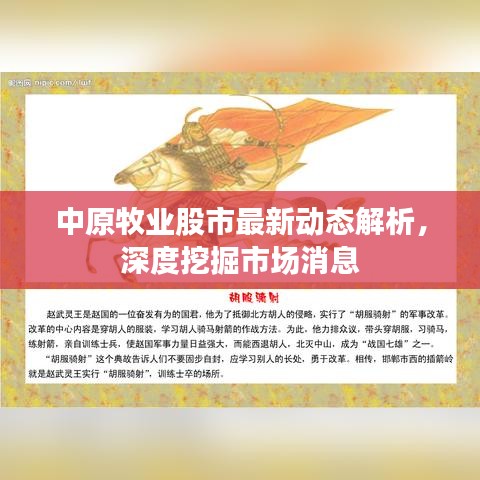 中原牧業(yè)股市最新動態(tài)解析，深度挖掘市場消息