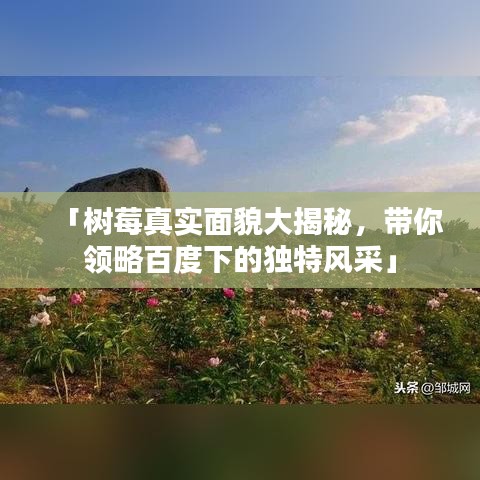 「樹莓真實面貌大揭秘，帶你領(lǐng)略百度下的獨特風(fēng)采」
