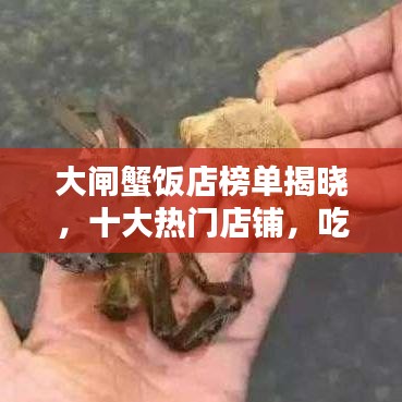 大閘蟹飯店榜單揭曉，十大熱門店鋪，吃貨必知！
