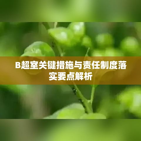 B超室關鍵措施與責任制度落實要點解析