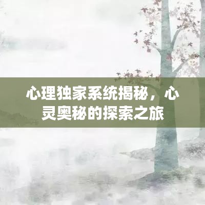心理獨(dú)家系統(tǒng)揭秘，心靈奧秘的探索之旅