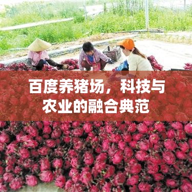 百度養(yǎng)豬場，科技與農(nóng)業(yè)的融合典范