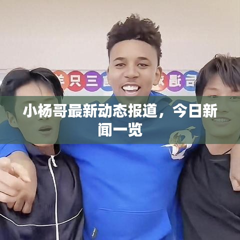 小楊哥最新動態(tài)報道，今日新聞一覽