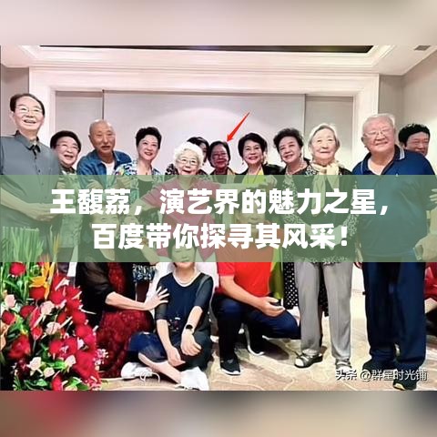 王馥荔，演藝界的魅力之星，百度帶你探尋其風(fēng)采！