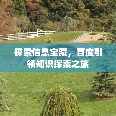 探索信息寶藏，百度引領知識探索之旅