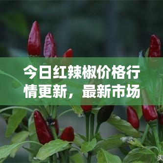 云煙 第2頁