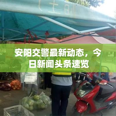 安陽交警最新動(dòng)態(tài)，今日新聞?lì)^條速覽