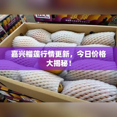 嘉興榴蓮行情更新，今日價(jià)格大揭秘！
