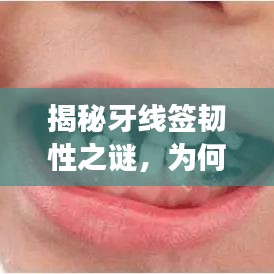 三心二意 第2頁(yè)