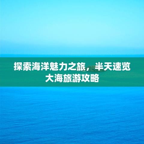 探索海洋魅力之旅，半天速覽大海旅游攻略