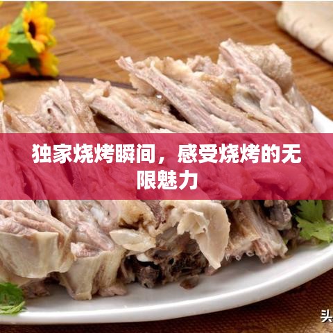 獨(dú)家燒烤瞬間，感受燒烤的無(wú)限魅力