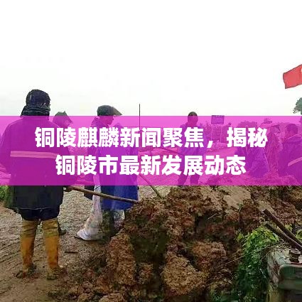 銅陵麒麟新聞聚焦，揭秘銅陵市最新發(fā)展動(dòng)態(tài)