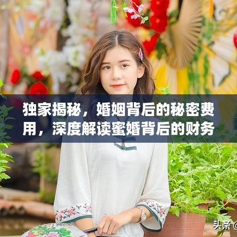 獨家揭秘，婚姻背后的秘密費用，深度解讀蜜婚背后的財務真相