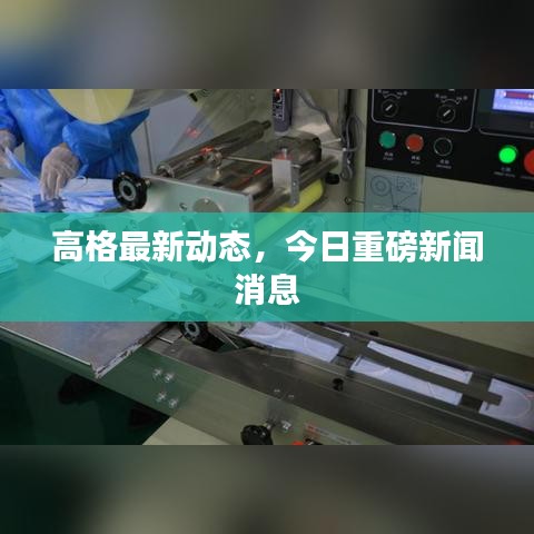 高格最新動態(tài)，今日重磅新聞消息