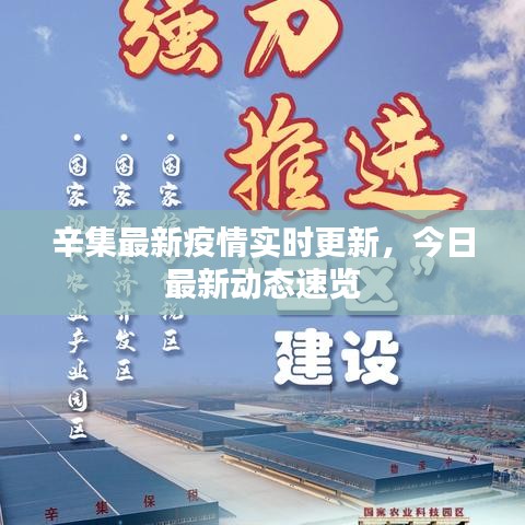 辛集最新疫情實時更新，今日最新動態(tài)速覽
