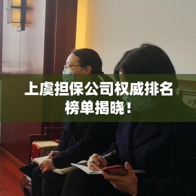 上虞擔(dān)保公司權(quán)威排名榜單揭曉！