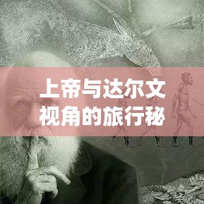 上帝與達爾文視角的旅行秘籍，揭秘最佳旅游指南！