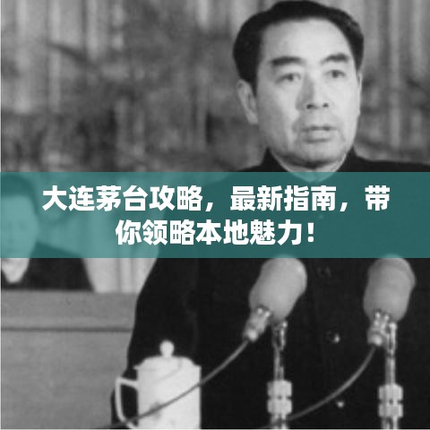 大連茅臺(tái)攻略，最新指南，帶你領(lǐng)略本地魅力！