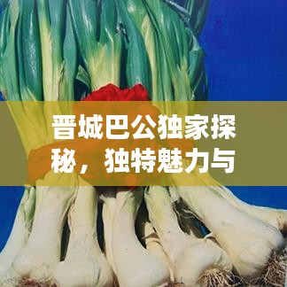晉城巴公獨家探秘，獨特魅力與歷史底蘊的完美結合