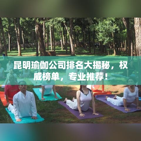 昆明瑜伽公司排名大揭秘，權(quán)威榜單，專業(yè)推薦！