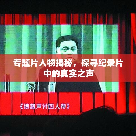 專題片人物揭秘，探尋紀(jì)錄片中的真實之聲