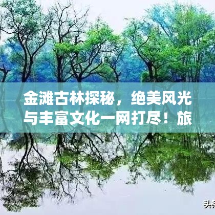 金灘古林探秘，絕美風(fēng)光與豐富文化一網(wǎng)打盡！旅游攻略大揭秘！