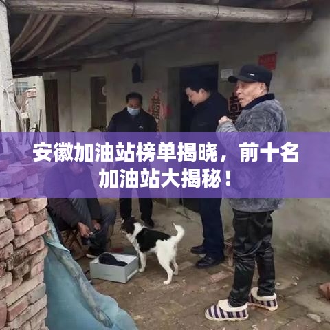 安徽加油站榜單揭曉，前十名加油站大揭秘！