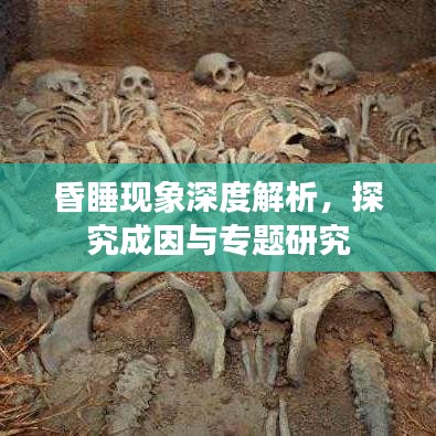 昏睡現(xiàn)象深度解析，探究成因與專題研究