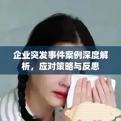 企業(yè)突發(fā)事件案例深度解析，應(yīng)對策略與反思
