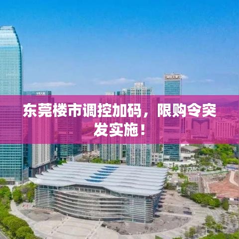 東莞樓市調(diào)控加碼，限購令突發(fā)實施！
