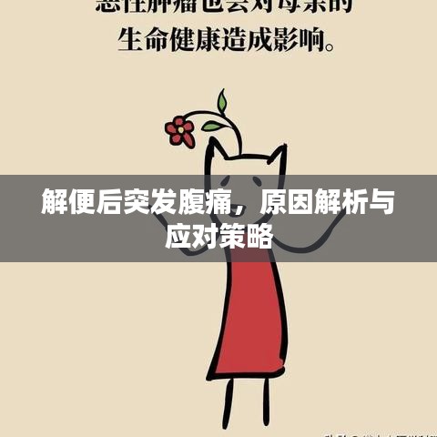 解便后突發(fā)腹痛，原因解析與應(yīng)對策略