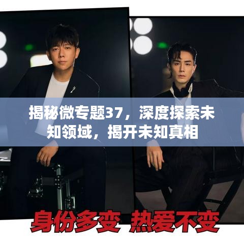 揭秘微專題37，深度探索未知領(lǐng)域，揭開未知真相