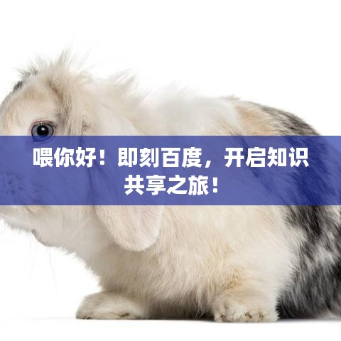喂你好！即刻百度，開啟知識共享之旅！