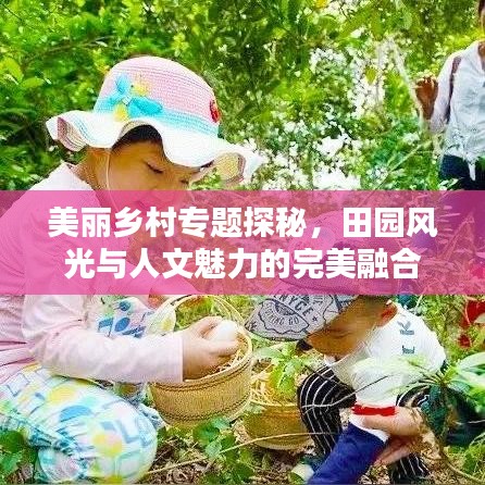美麗鄉(xiāng)村專題探秘，田園風光與人文魅力的完美融合