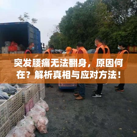 突發(fā)腰痛無法翻身，原因何在？解析真相與應對方法！