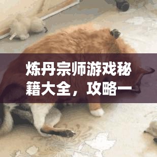 煉丹宗師游戲秘籍大全，攻略一網打盡！