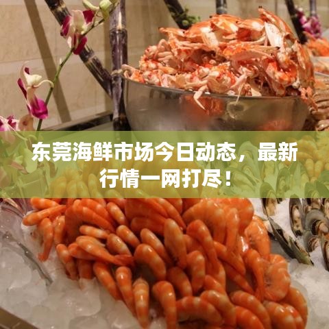 東莞海鮮市場今日動態(tài)，最新行情一網(wǎng)打盡！