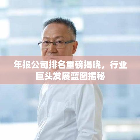 年報(bào)公司排名重磅揭曉，行業(yè)巨頭發(fā)展藍(lán)圖揭秘