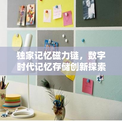 獨(dú)家記憶磁力鏈，數(shù)字時(shí)代記憶存儲(chǔ)創(chuàng)新探索