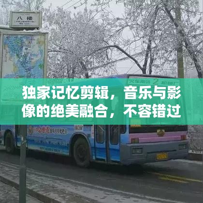 獨(dú)家記憶剪輯，音樂(lè)與影像的絕美融合，不容錯(cuò)過(guò)！