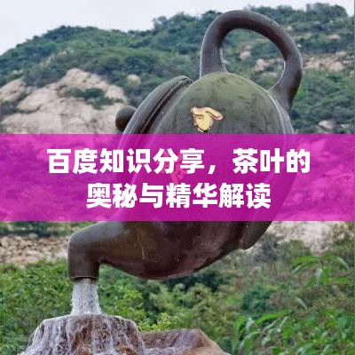 百度知識(shí)分享，茶葉的奧秘與精華解讀