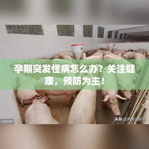 孕期突發(fā)怪病怎么辦？關(guān)注健康，預(yù)防為主！